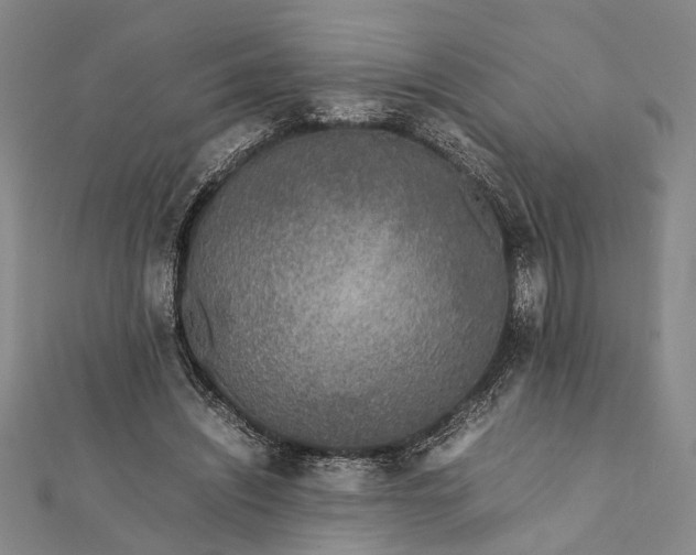 X0000112170444200908211430