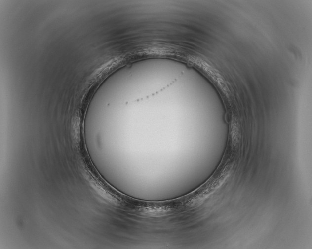 X0000112170445200908211430