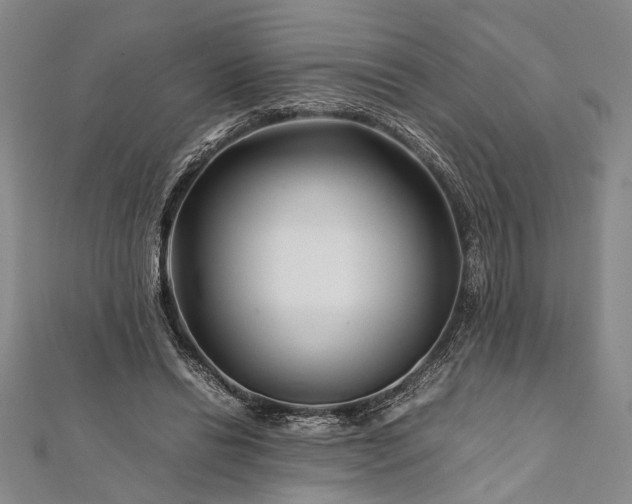 X0000112170446200908211430