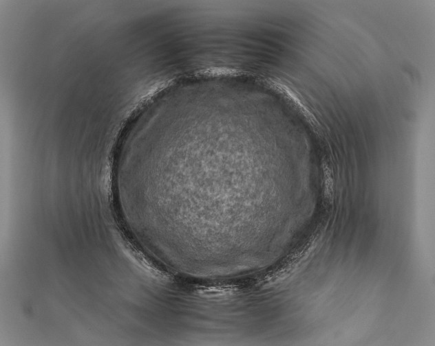 X0000112170447200908211430