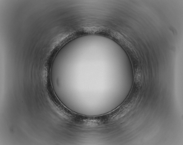 X0000112170448200908211430