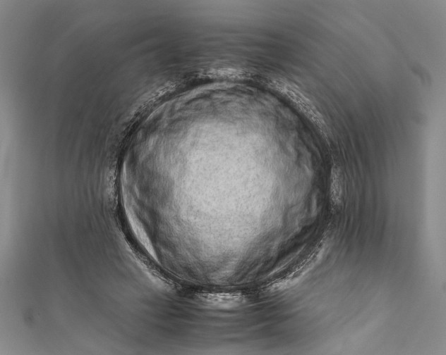 X0000112170449200908211430