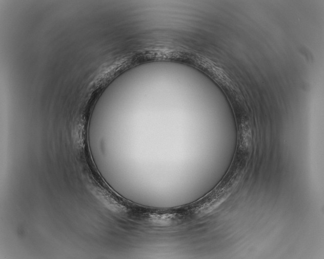 X0000112170450200908211430