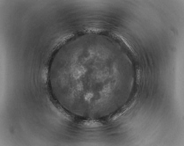 X0000112170451200908211430