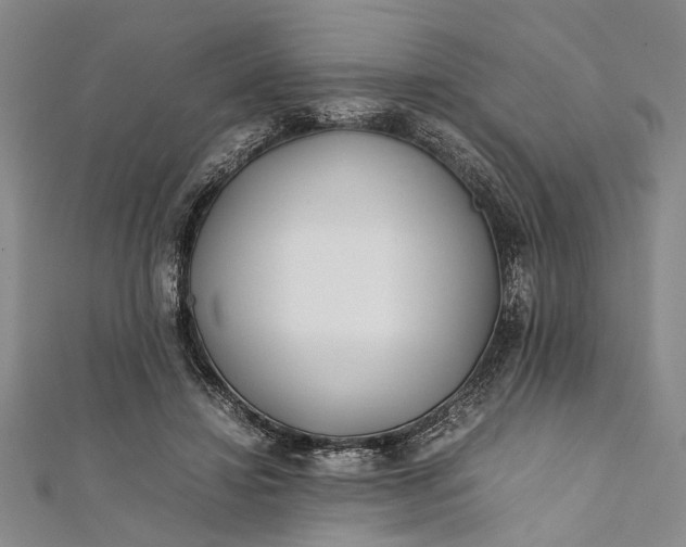 X0000112170452200908211430