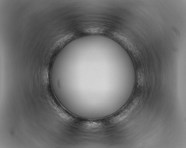 X0000112170453200908211430