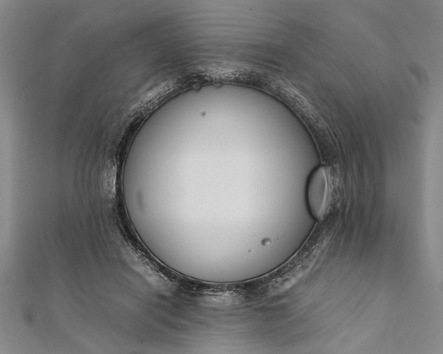 X0000112170454200908211430