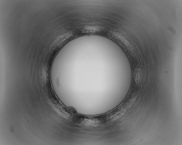 X0000112170455200908211430