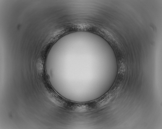 X0000112170456200908211430