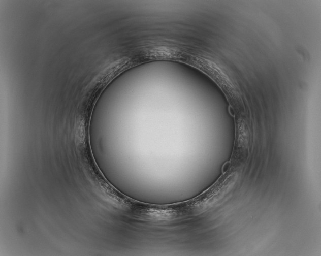 X0000112170457200908211430