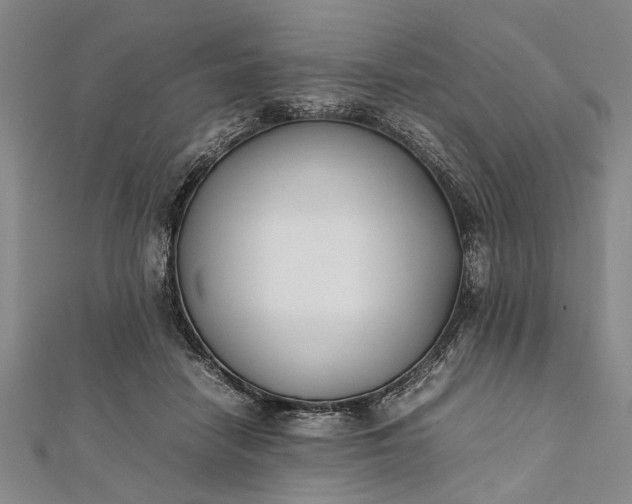 X0000112170458200908211430