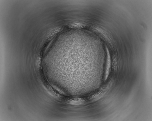 X0000112170459200908211430