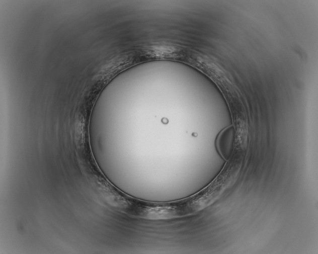 X0000112170461200908211430