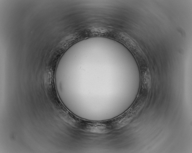 X0000112170463200908211430