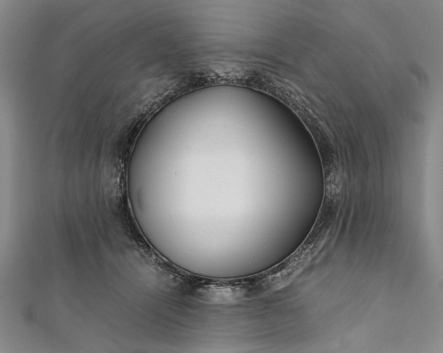 X0000112170464200908211430