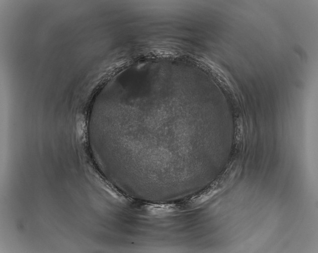 X0000112170465200908211430