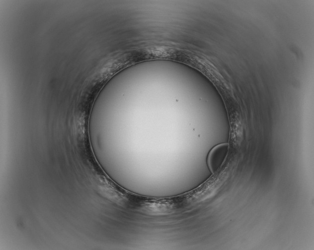 X0000112170466200908211430