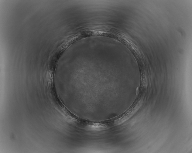 X0000112170467200908211430