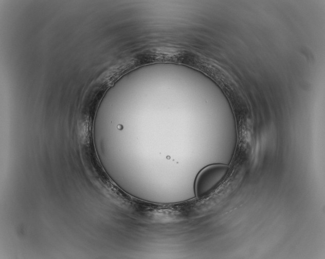 X0000112170468200908211430