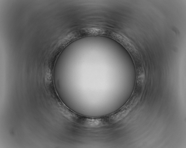 X0000112170469200908211430