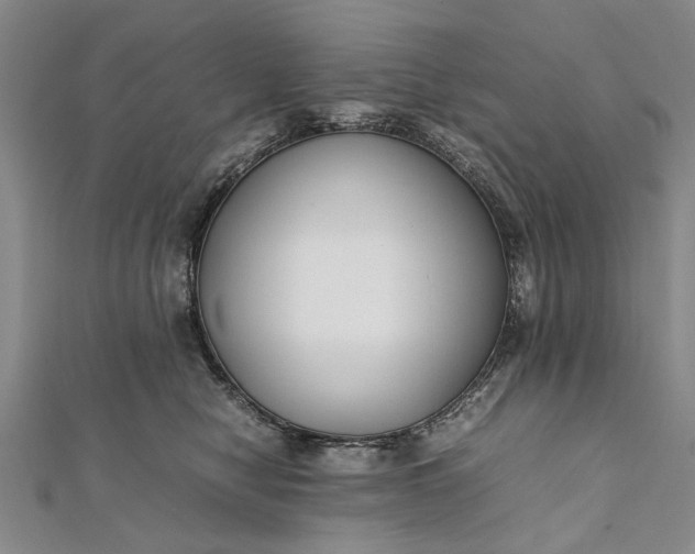 X0000112170470200908211430