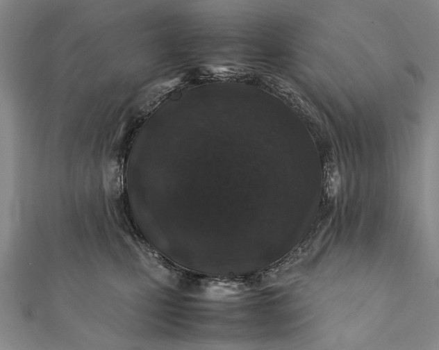 X0000112170471200908211430