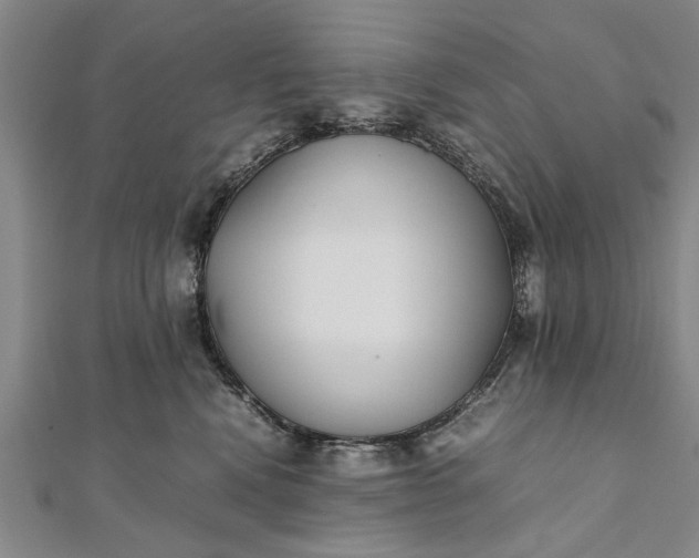 X0000112170472200908211430