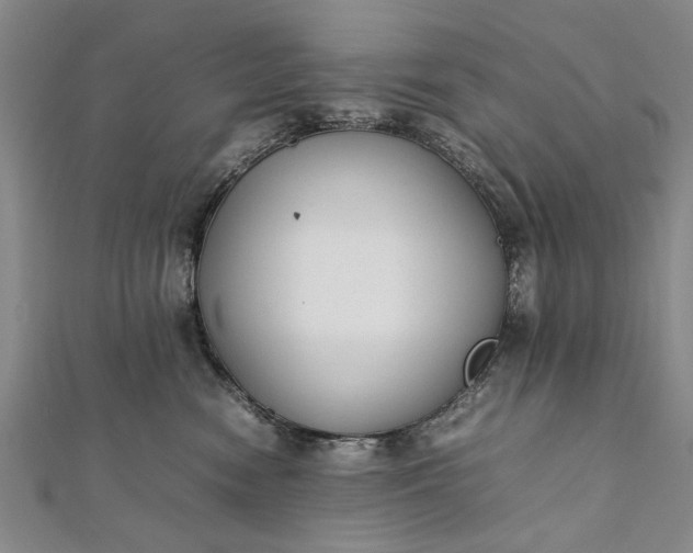 X0000112170474200908211430