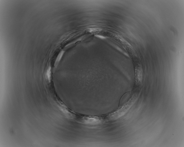 X0000112170475200908211430