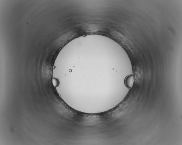 X0000112170476200908211430