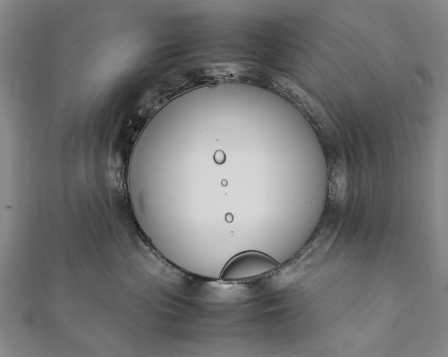 X0000112170477200908211430