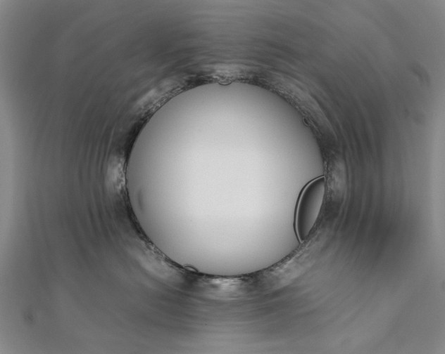 X0000112170478200908211430