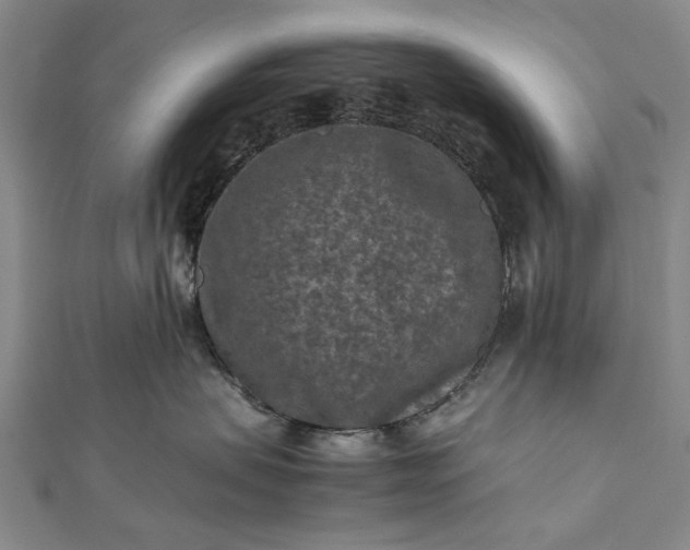 X0000112170479200908211430