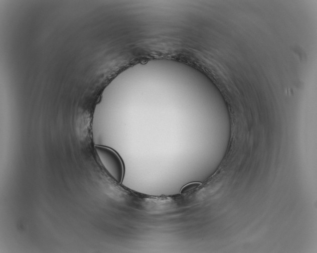 X0000112170480200908211430