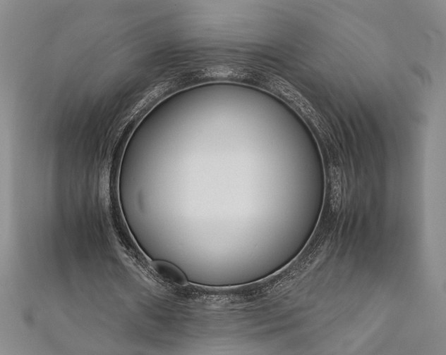 X0000112170482200908211429