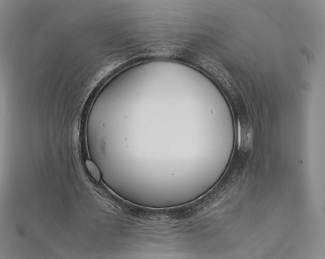 X0000112170483200908211429