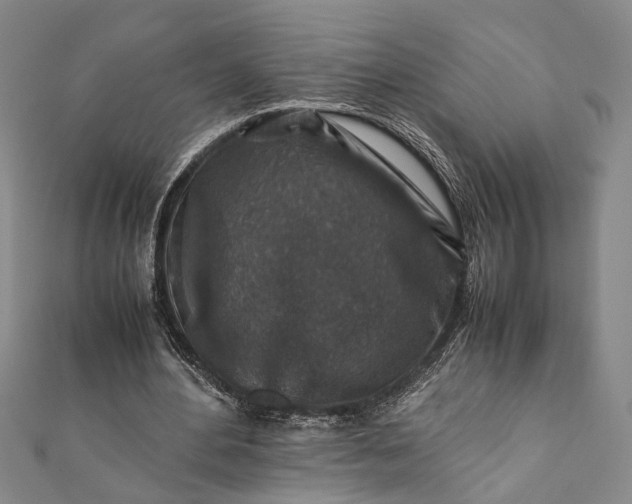 X0000112170484200908211429