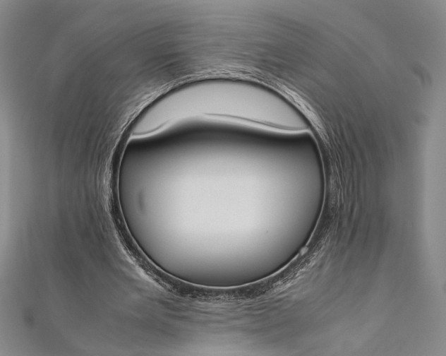 X0000112170485200908211429