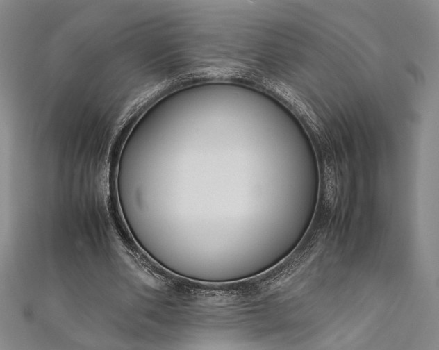 X0000112170486200908211429