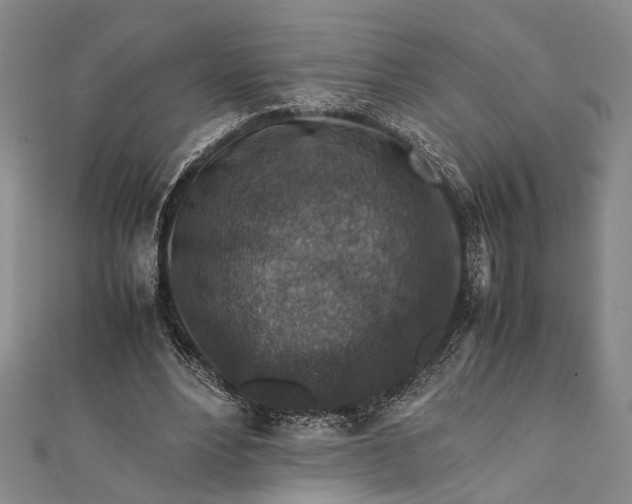 X0000112170488200908211429