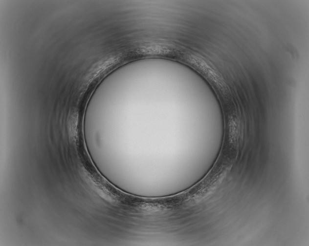 X0000112170490200908211429