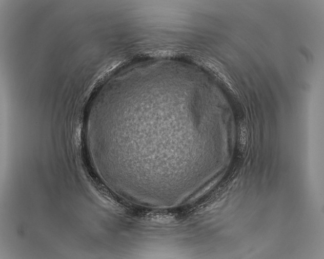 X0000112170491200908211429