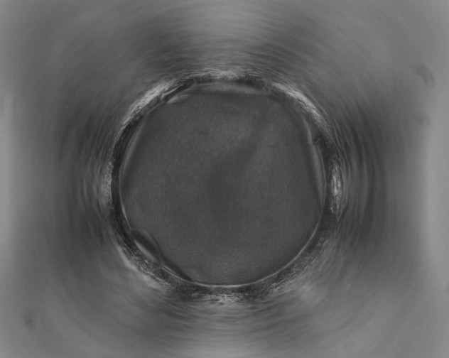 X0000112170492200908211429