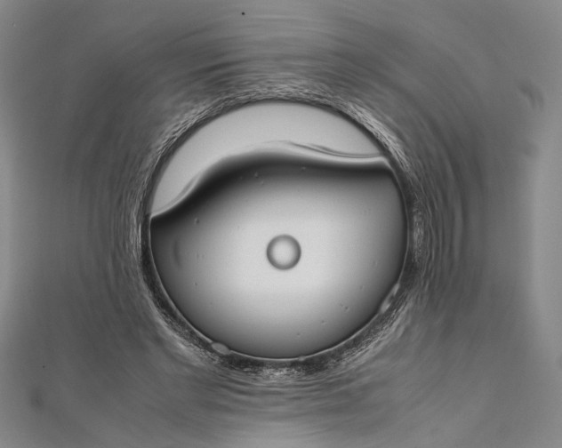 X0000112170493200908211429