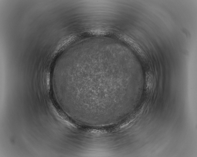 X0000112170494200908211429