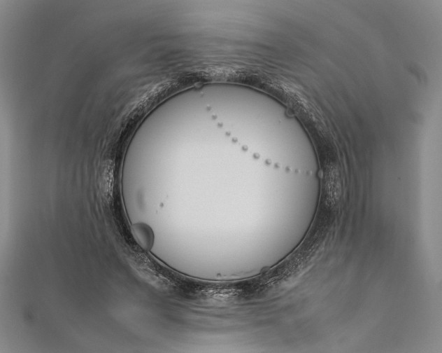 X0000112170495200908211429