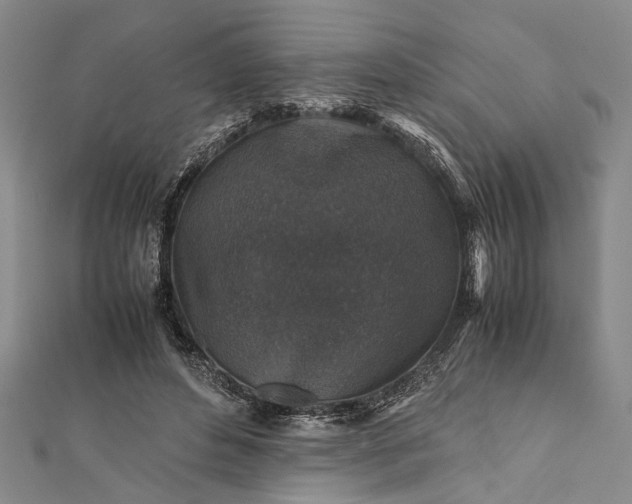 X0000112170496200908211429