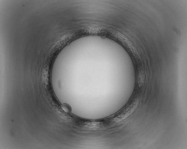 X0000112170497200908211429