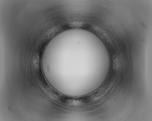 X0000112170498200908211429