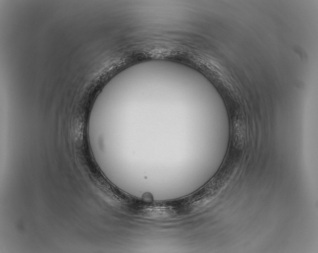 X0000112170499200908211429